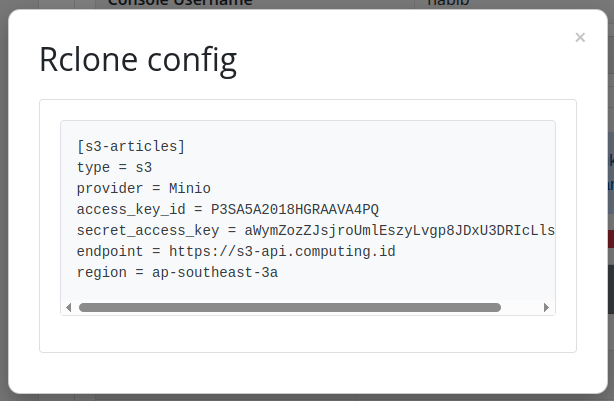 template config rclone